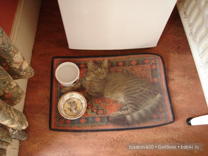 Замок Скотни (Scotney Castle) ,новый замок в котором нет привидений