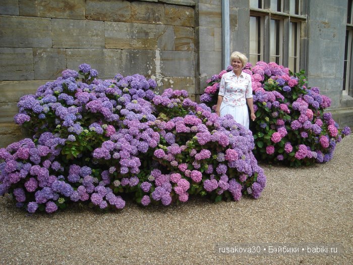 Замок Скотни (Scotney Castle) ,новый замок в котором нет привидений (фото 3)