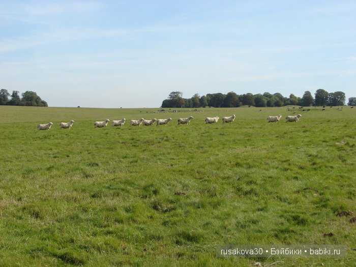 Вудхендж ,еще одна загадка древнего мира