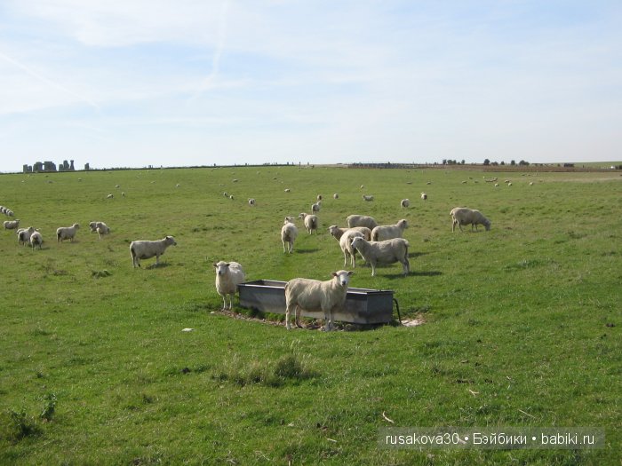 Вудхендж ,еще одна загадка древнего мира