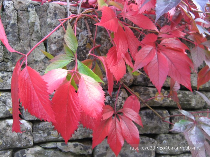Самая красивая английская деревня Бибури (Bibury Village)
