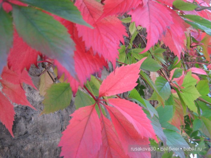 Самая красивая английская деревня Бибури (Bibury Village)