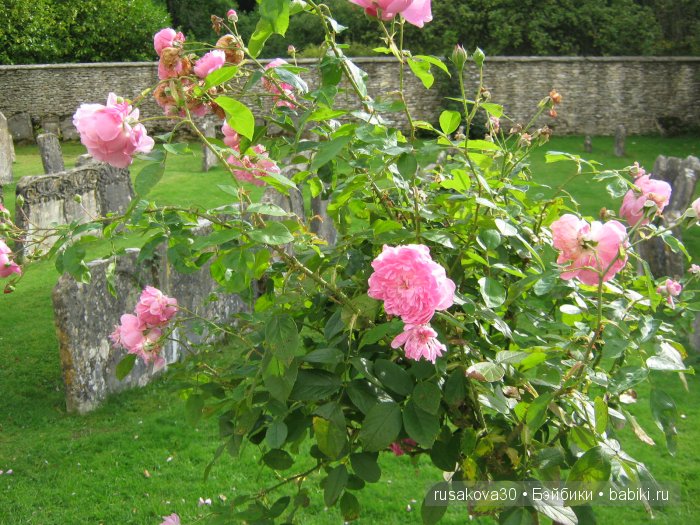 Самая красивая английская деревня Бибури (Bibury Village)