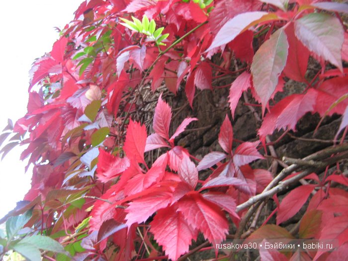 Самая красивая английская деревня Бибури (Bibury Village)