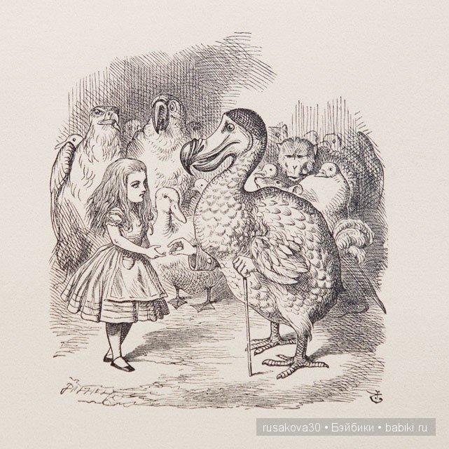 По следам Алисы и белого кролика (фото 4)