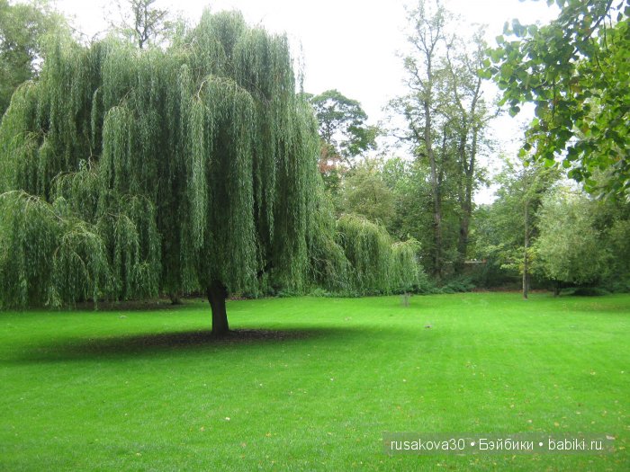 По следам Алисы и белого кролика...(продолжение )