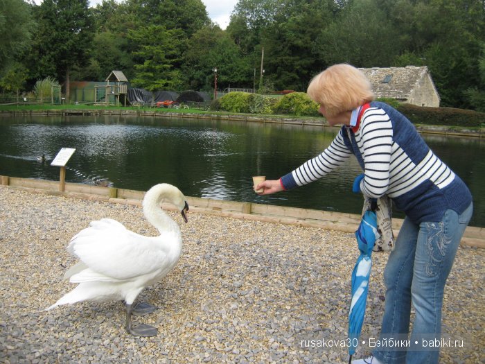 Деревня Бибури (Bibury Village) или как мы форелькой любовались (фото 9)
