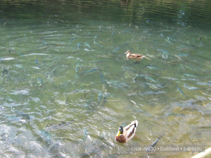 Деревня Бибури (Bibury Village) или как мы форелькой любовались