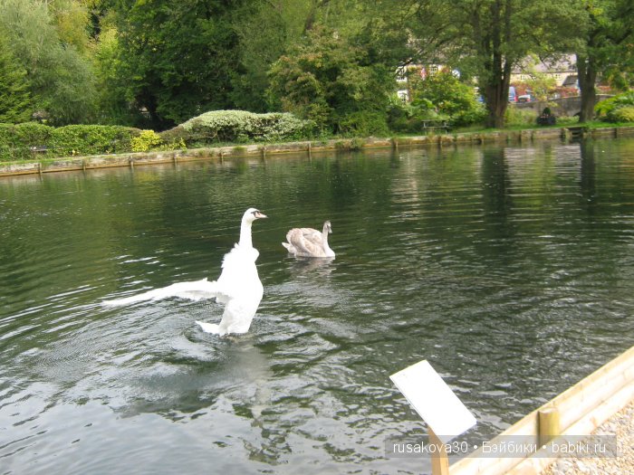 Деревня Бибури (Bibury Village) или как мы форелькой любовались