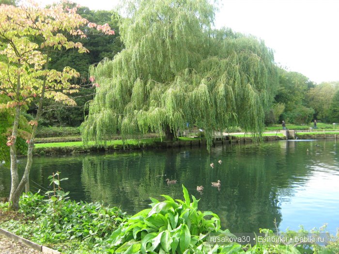 Деревня Бибури (Bibury Village) или как мы форелькой любовались