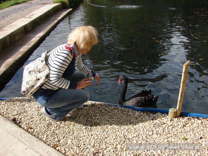 Деревня Бибури (Bibury Village) или как мы форелькой любовались