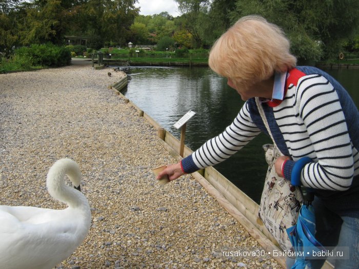 Деревня Бибури (Bibury Village) или как мы форелькой любовались