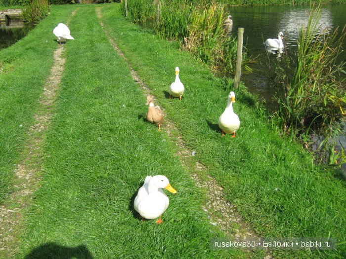 Деревня Бибури (Bibury Village) или как мы форелькой любовались
