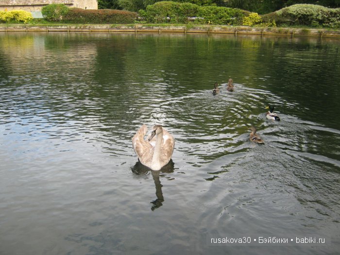 Деревня Бибури (Bibury Village) или как мы форелькой любовались