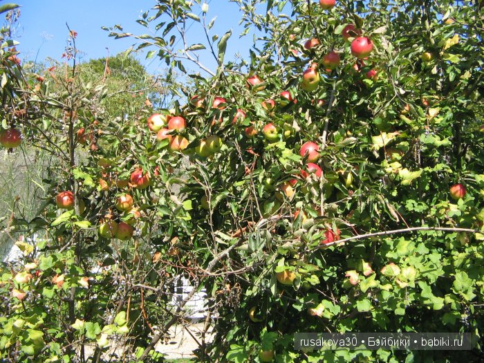 Английская деревушка Nether Wallop , там где снимали фильм о Мисс Марпл