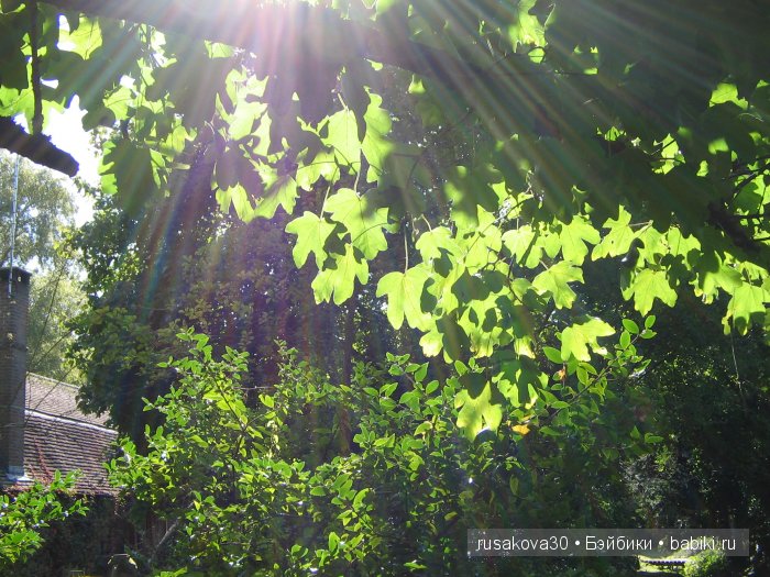 Английская деревушка Nether Wallop , там где снимали фильм о Мисс Марпл