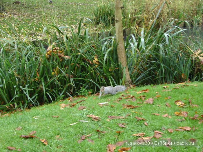 Прощай , Осень — Коллекционные куклы разных авторов (Разное): редкие бренды