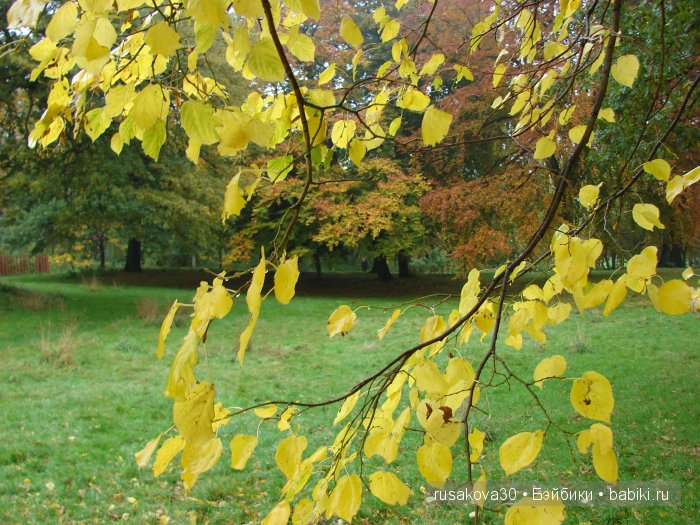Прощай , Осень — Коллекционные куклы разных авторов (Разное): редкие бренды (фото 5)