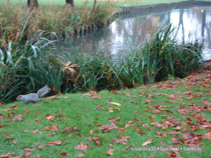 Прощай , Осень — Коллекционные куклы разных авторов (Разное): редкие бренды
