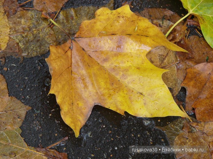 Прощай , Осень — Коллекционные куклы разных авторов (Разное): редкие бренды (фото 10)