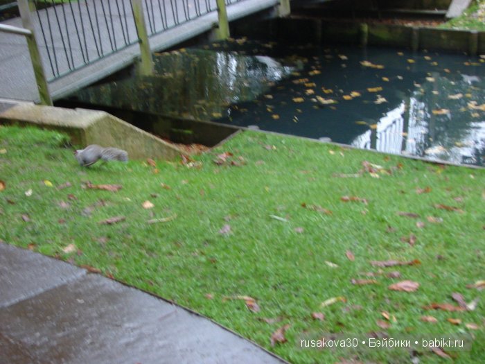 Прощай , Осень — Коллекционные куклы разных авторов (Разное): редкие бренды