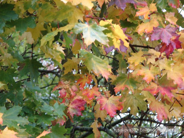 Прощай , Осень — Коллекционные куклы разных авторов (Разное): редкие бренды