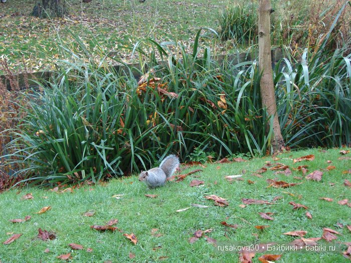 Прощай , Осень — Коллекционные куклы разных авторов (Разное): редкие бренды