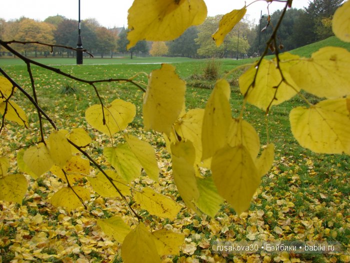 Прощай , Осень — Коллекционные куклы разных авторов (Разное): редкие бренды (фото 7)