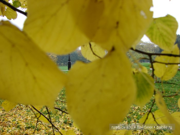 Прощай , Осень — Коллекционные куклы разных авторов (Разное): редкие бренды