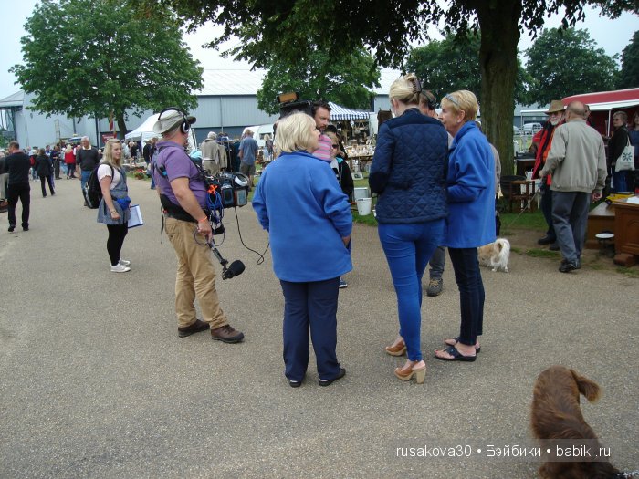 Передача " Bargain Hunt " или умеете ли вы торговаться