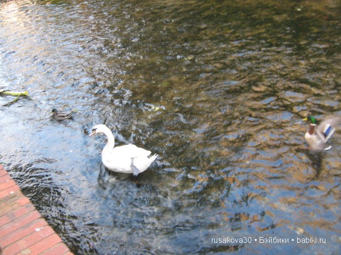 Солсбери (Salisbury) – небольшой городок на юге Англии