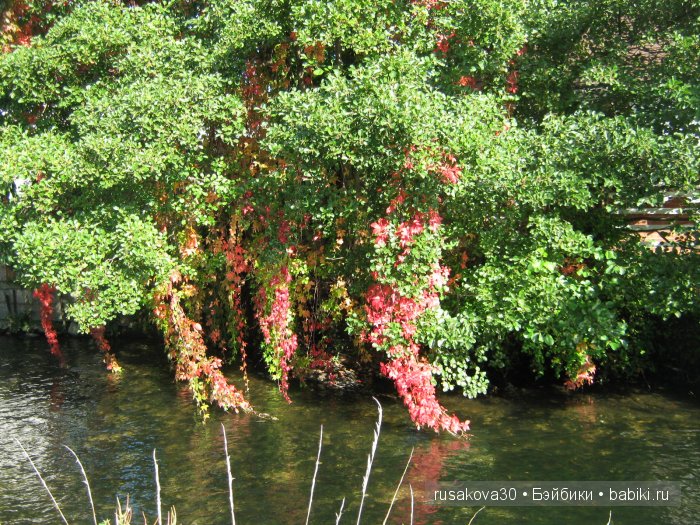 Солсбери (Salisbury) – небольшой городок на юге Англии (фото 8)