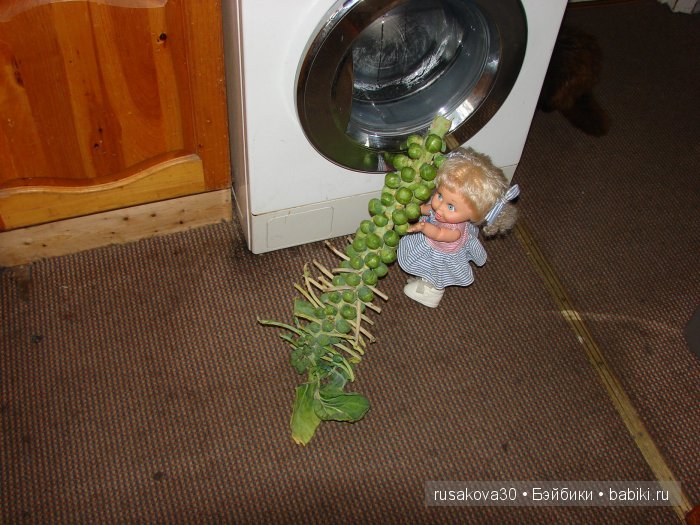 Как Съюзи и Синтия яблочки запекали, а Эльза им помогала