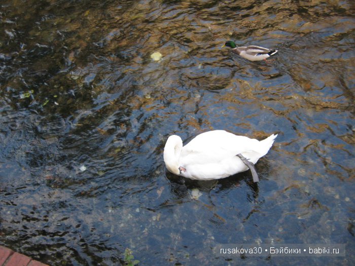 Солсбери (Salisbury) – небольшой городок на юге Англии