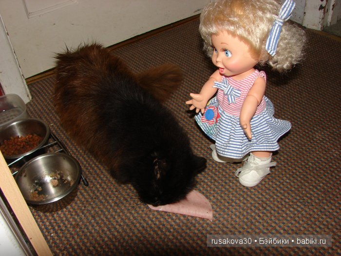 Как Съюзи и Синтия яблочки запекали, а Эльза им помогала