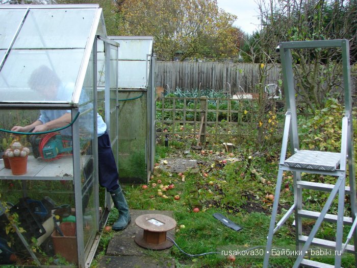 Как Съюзи и Синтия яблочки запекали, а Эльза им помогала