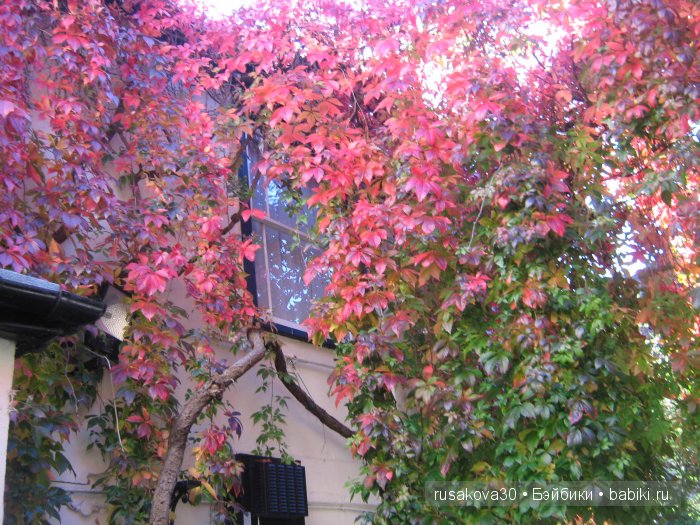 Солсбери (Salisbury) – небольшой городок на юге Англии