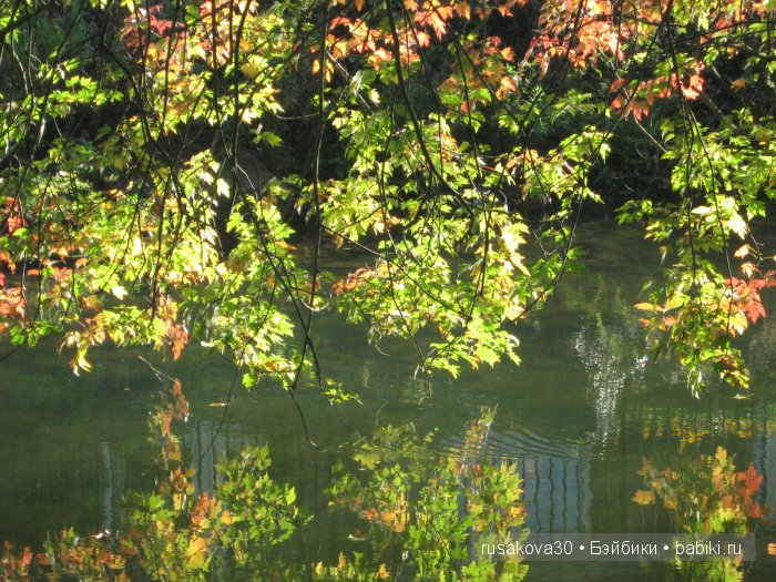 Солсбери (Salisbury) – небольшой городок на юге Англии (фото 10)