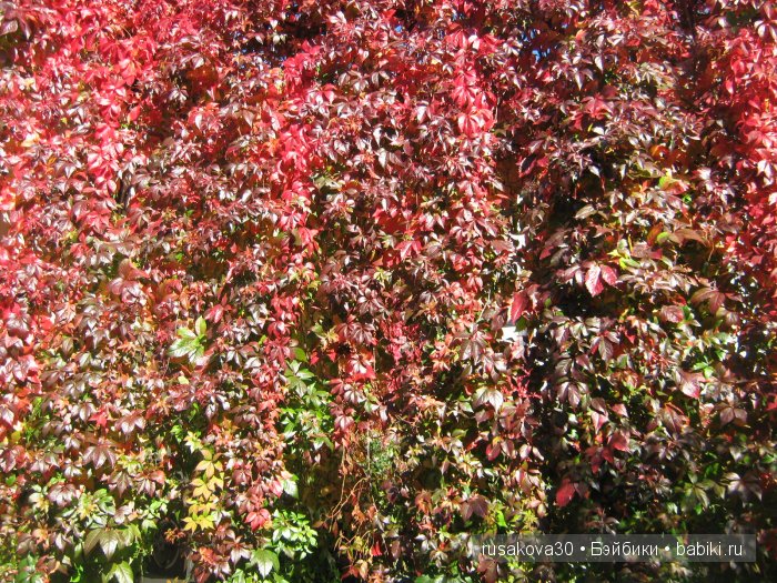 Солсбери (Salisbury) – небольшой городок на юге Англии