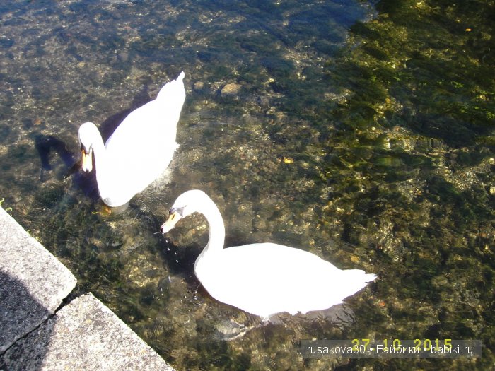 Солсбери (Salisbury) – небольшой городок на юге Англии