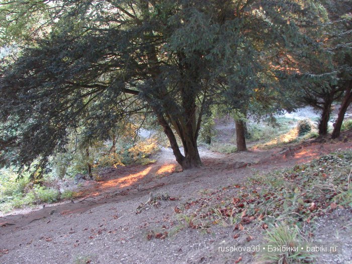 Старый Сарум (старый город)