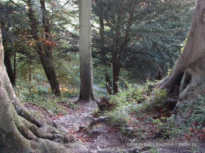 Старый Сарум (старый город)