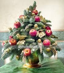 Елочка, ёлка - лесной аромат (фото 5)