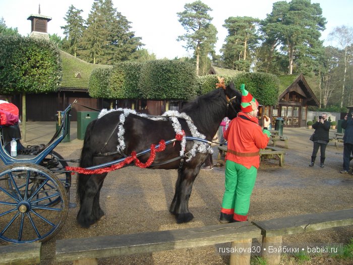 Malya и Aleksandra от Дианы Эффнер, Dianna Effner