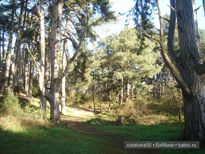 Куклы немецкой фирмы GOEBEL W