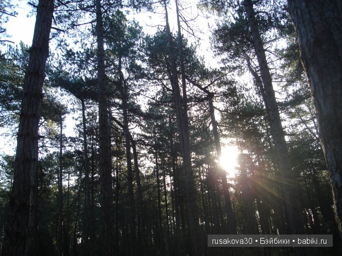 Куклы немецкой фирмы GOEBEL W