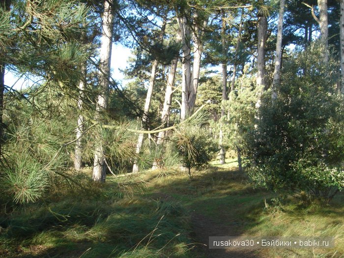 Куклы немецкой фирмы GOEBEL W