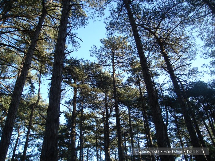 Куклы немецкой фирмы GOEBEL W