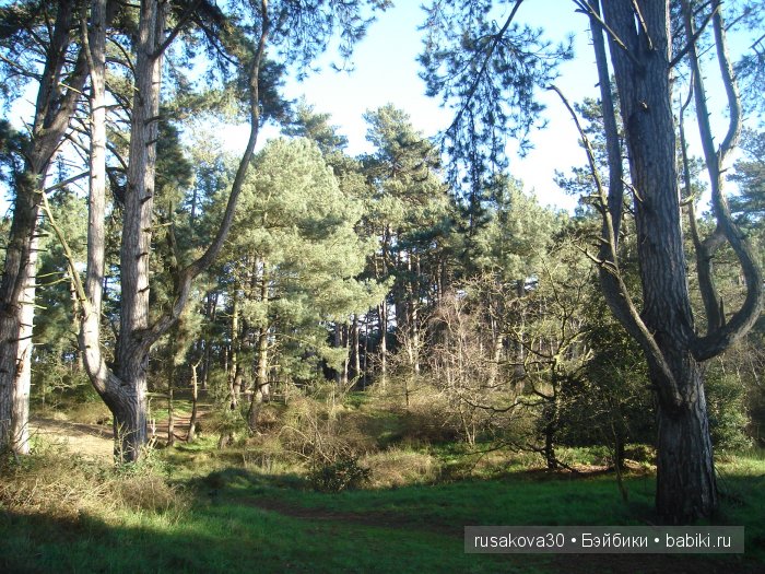 Куклы немецкой фирмы GOEBEL W