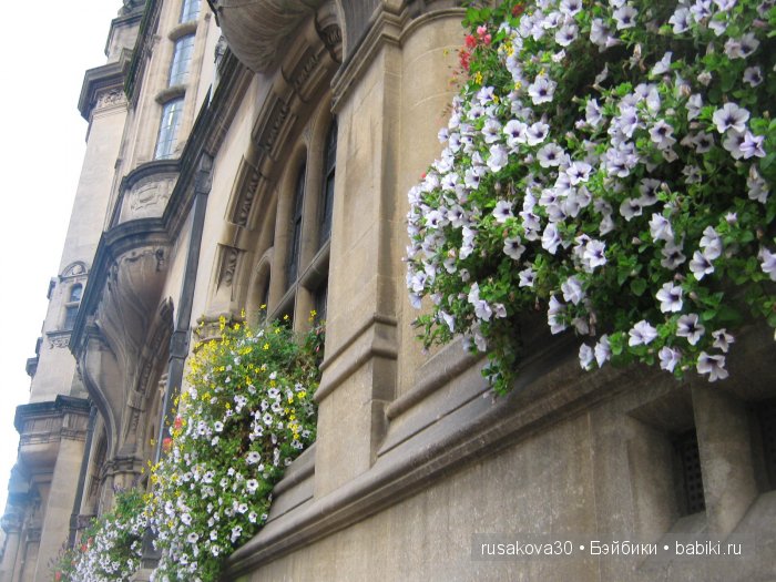 О́ксфорд — Туризм и путешествия: фотоотчеты из поездок